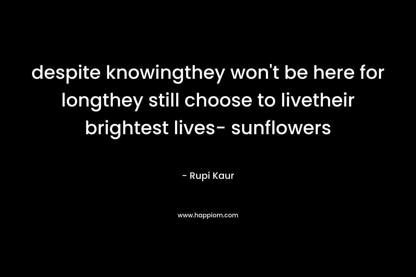 despite knowingthey won't be here for longthey still choose to livetheir brightest lives- sunflowers