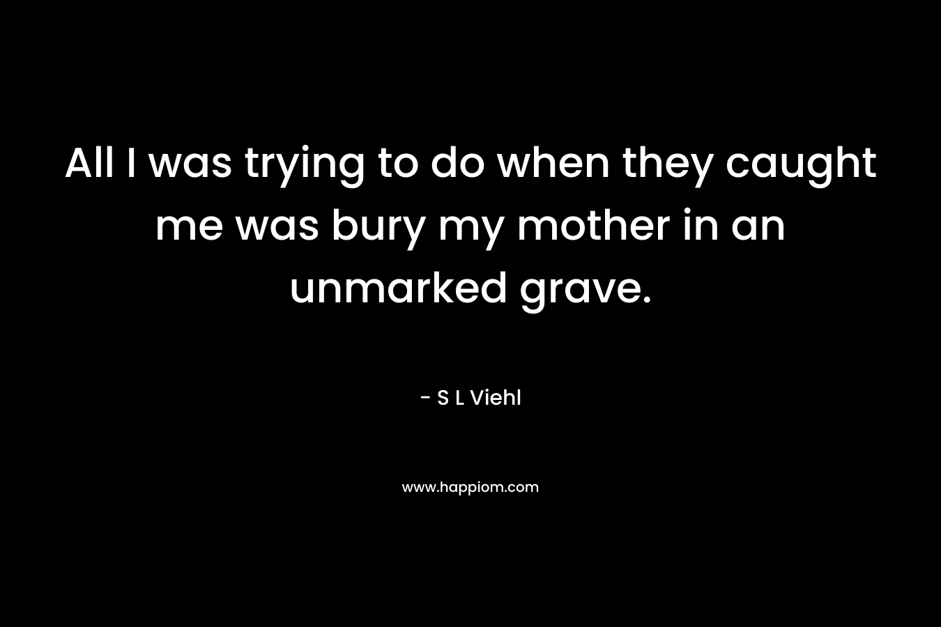 All I was trying to do when they caught me was bury my mother in an unmarked grave. – S L Viehl