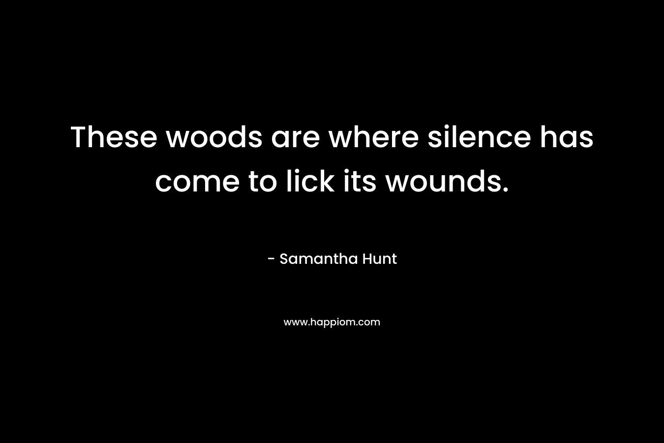 These woods are where silence has come to lick its wounds. – Samantha Hunt