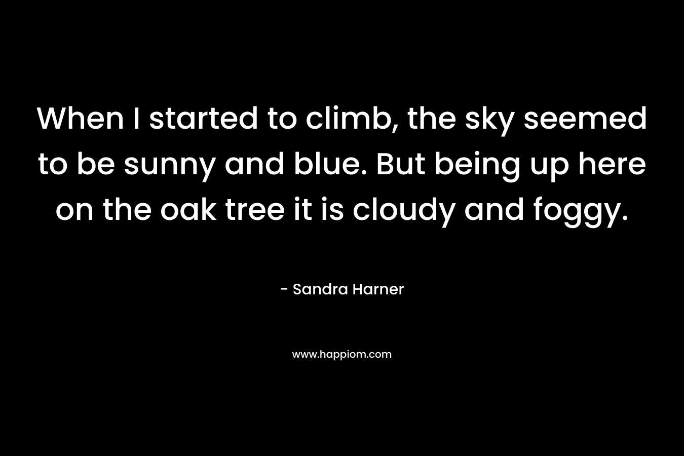 When I started to climb, the sky seemed to be sunny and blue. But being up here on the oak tree it is cloudy and foggy.