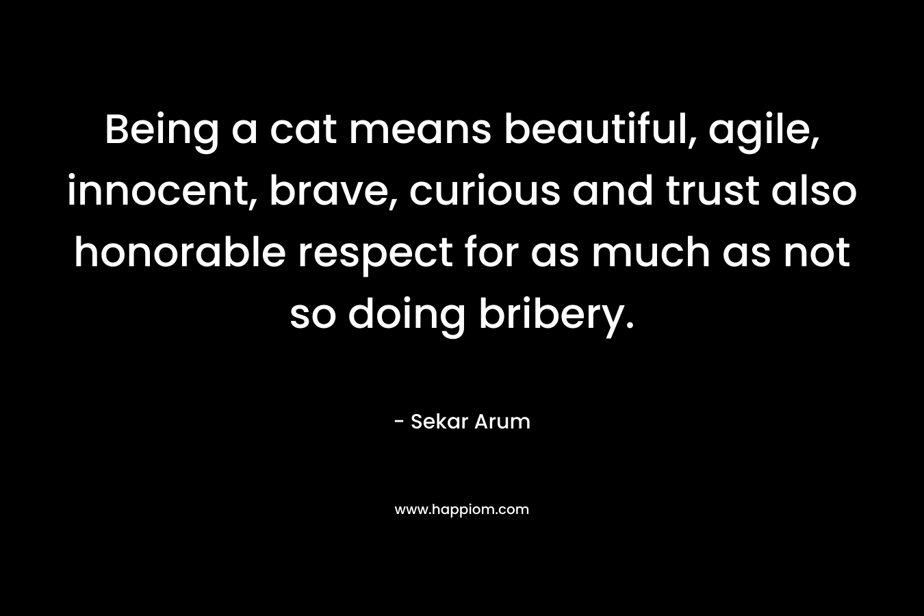 Being a cat means beautiful, agile, innocent, brave, curious and trust also honorable respect for as much as not so doing bribery. – Sekar Arum