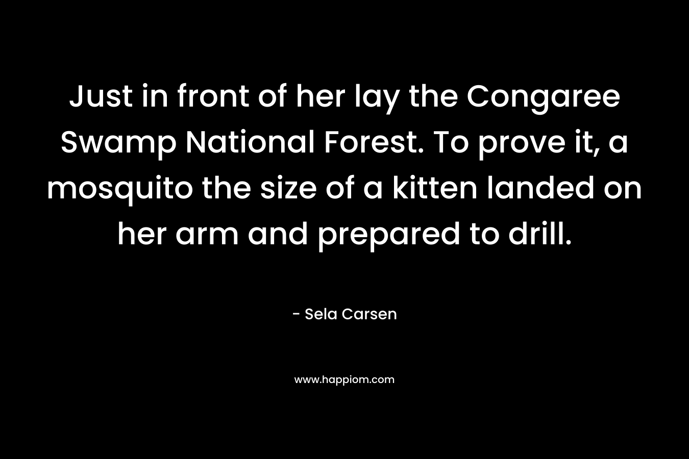 Just in front of her lay the Congaree Swamp National Forest. To prove it, a mosquito the size of a kitten landed on her arm and prepared to drill. – Sela Carsen