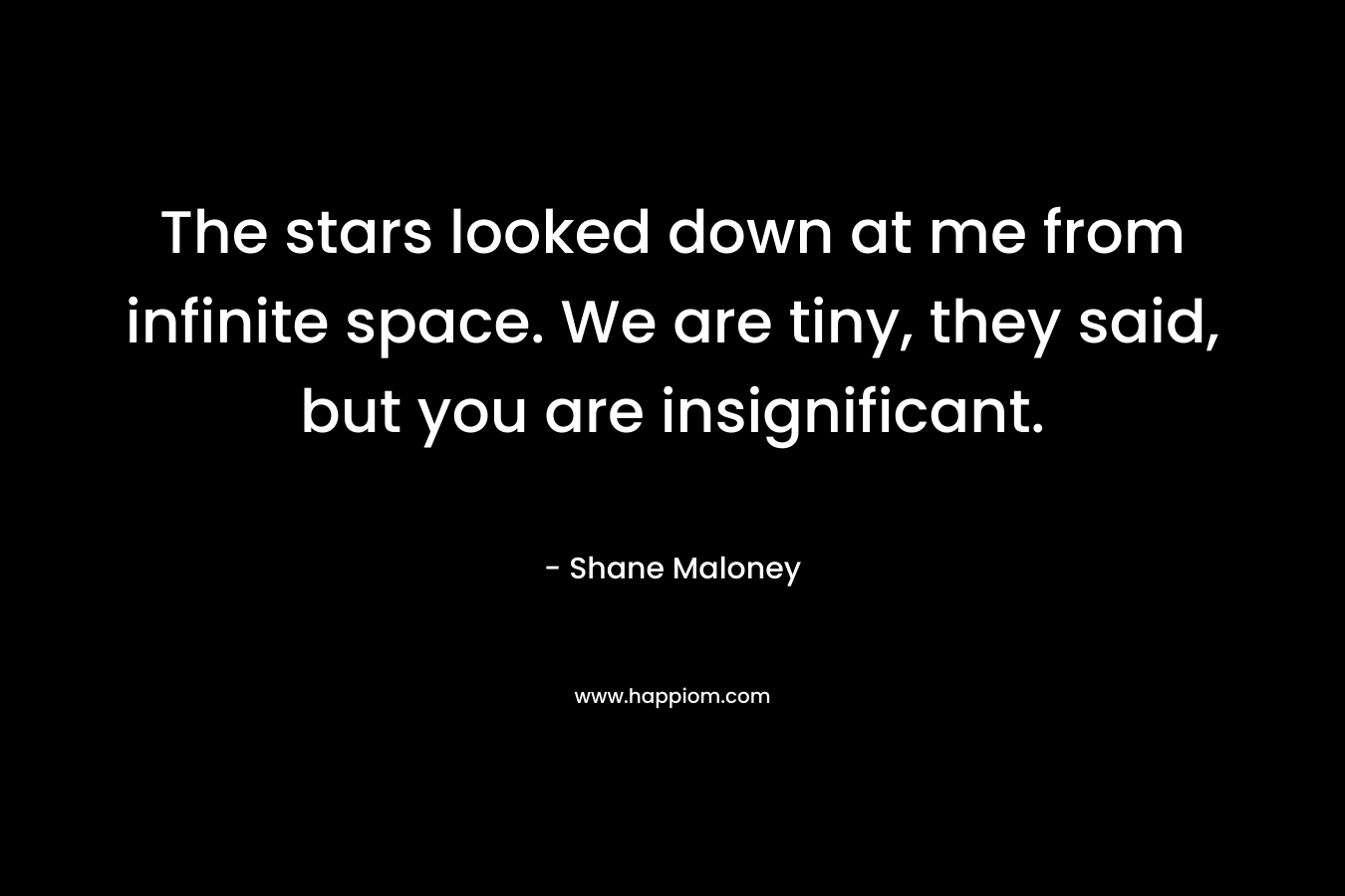 The stars looked down at me from infinite space. We are tiny, they said, but you are insignificant. – Shane Maloney