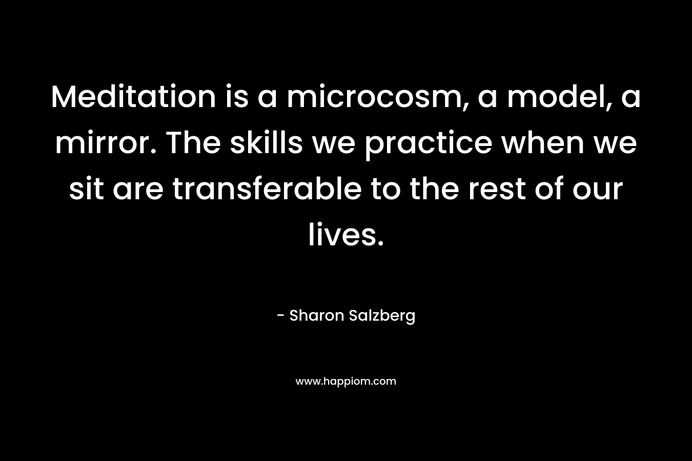 Meditation is a microcosm, a model, a mirror. The skills we practice when we sit are transferable to the rest of our lives.