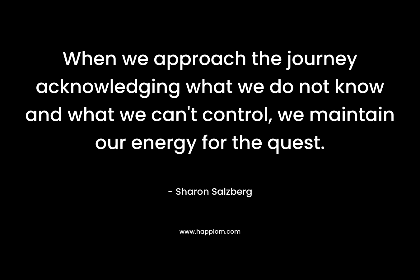 When we approach the journey acknowledging what we do not know and what we can't control, we maintain our energy for the quest.
