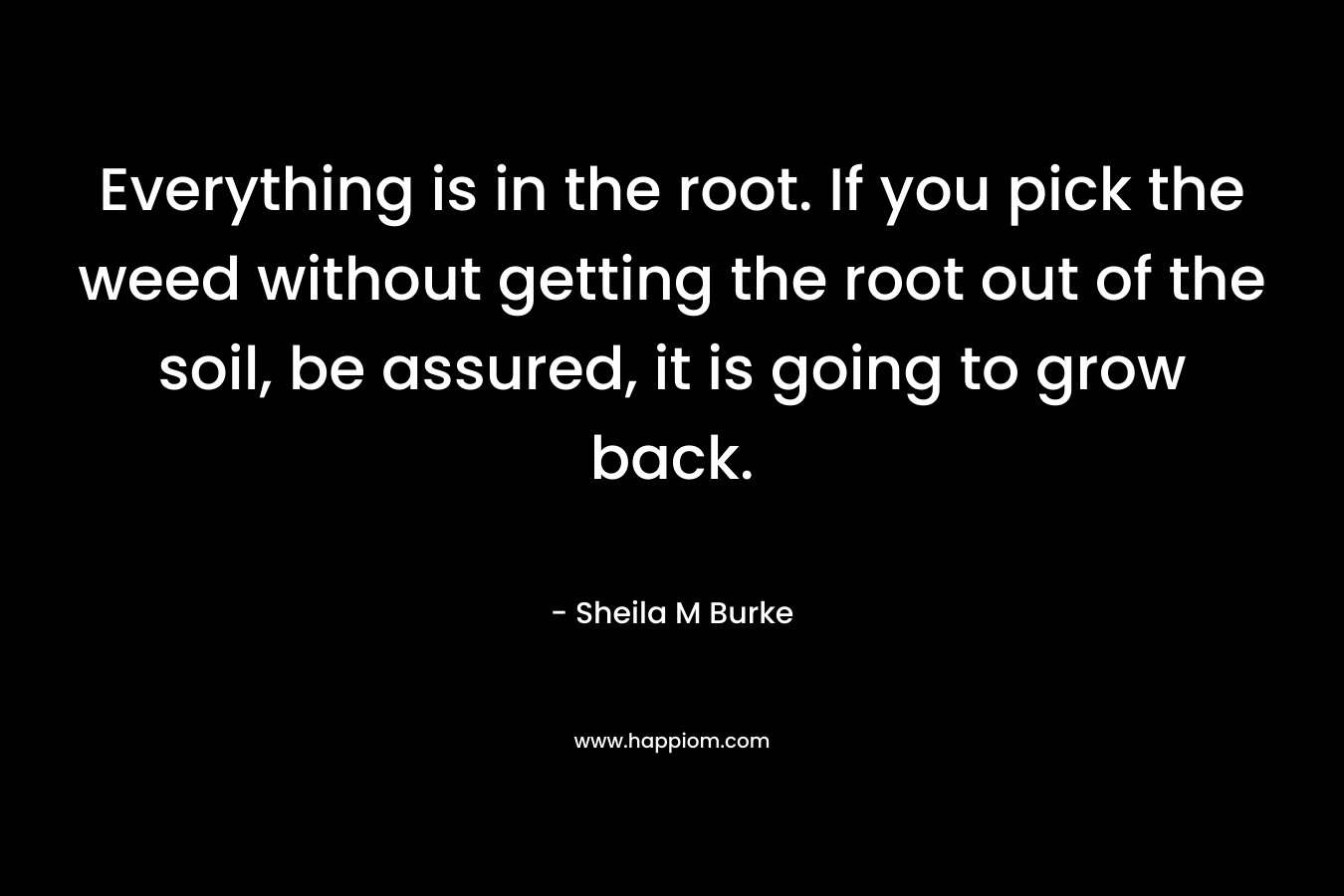 Everything is in the root. If you pick the weed without getting the root out of the soil, be assured, it is going to grow back.