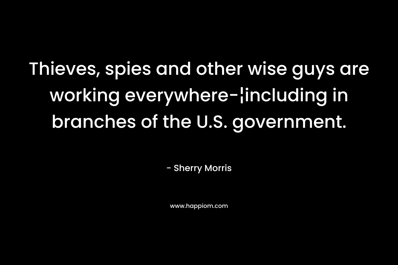 Thieves, spies and other wise guys are working everywhere-¦including in branches of the U.S. government. – Sherry Morris