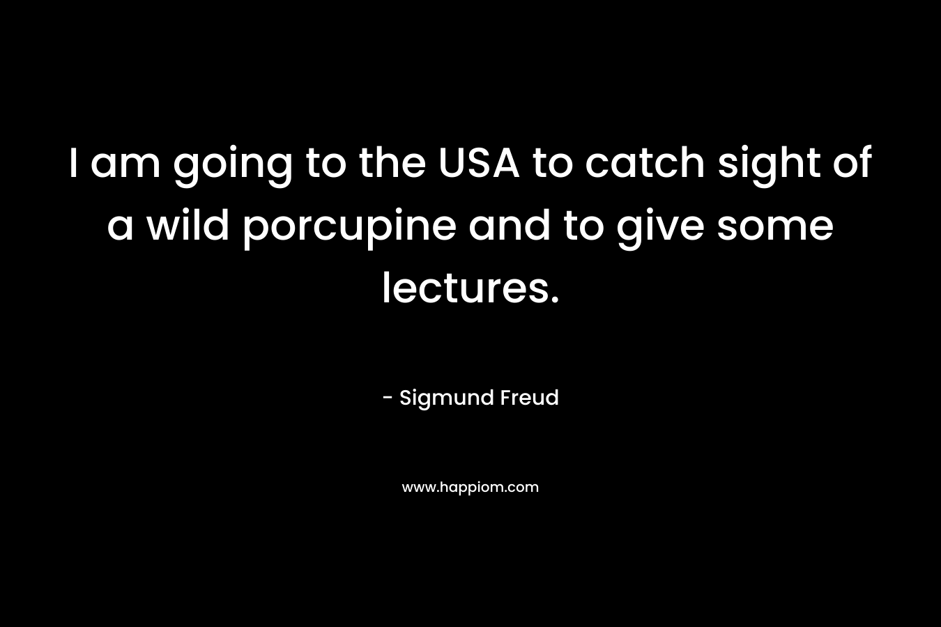 I am going to the USA to catch sight of a wild porcupine and to give some lectures.