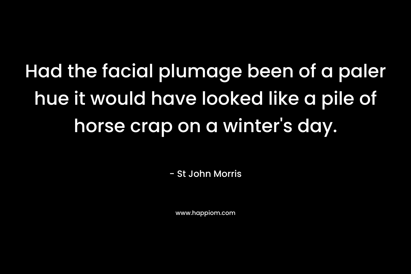 Had the facial plumage been of a paler hue it would have looked like a pile of horse crap on a winter’s day. – St John Morris