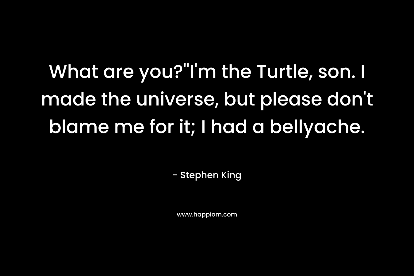 What are you?''I'm the Turtle, son. I made the universe, but please don't blame me for it; I had a bellyache.