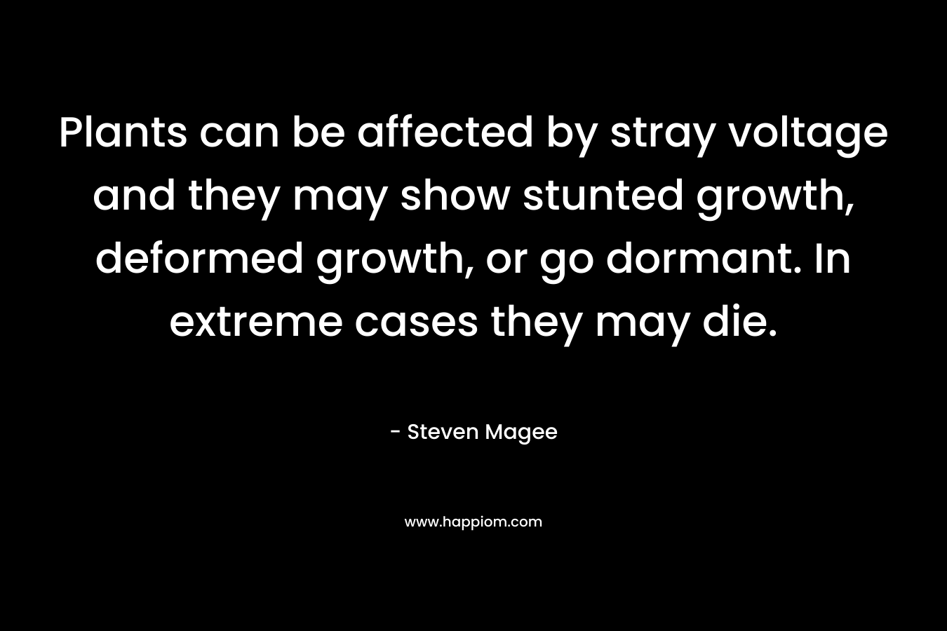 Plants can be affected by stray voltage and they may show stunted growth, deformed growth, or go dormant. In extreme cases they may die.