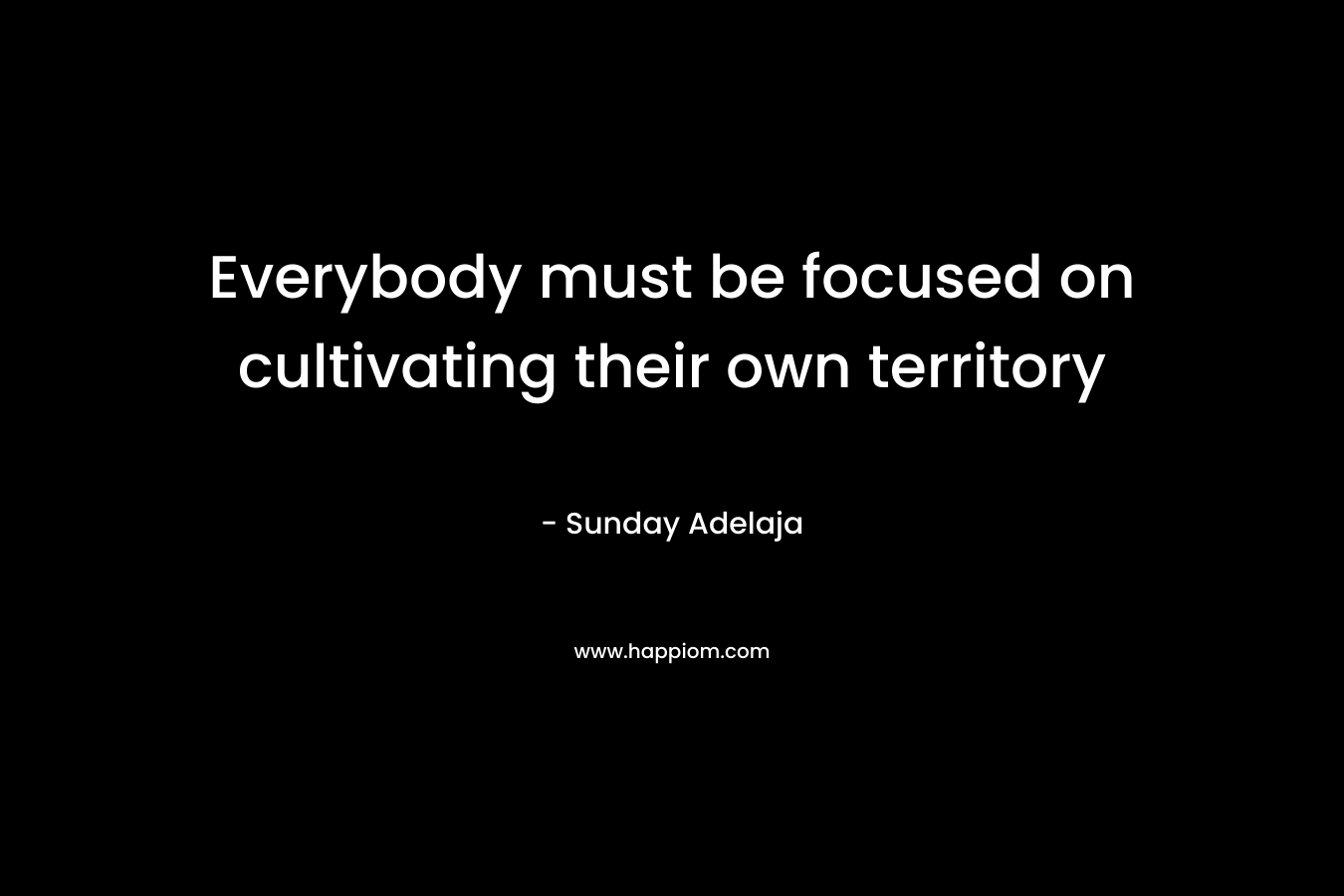 Everybody must be focused on cultivating their own territory – Sunday Adelaja