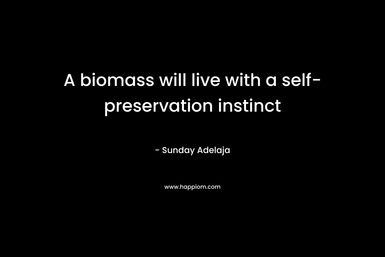 A biomass will live with a self-preservation instinct – Sunday Adelaja