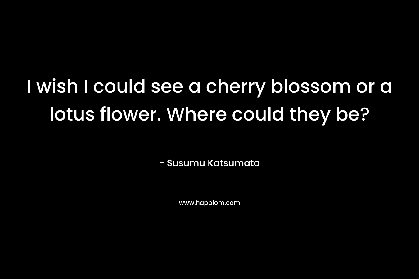 I wish I could see a cherry blossom or a lotus flower. Where could they be? – Susumu Katsumata