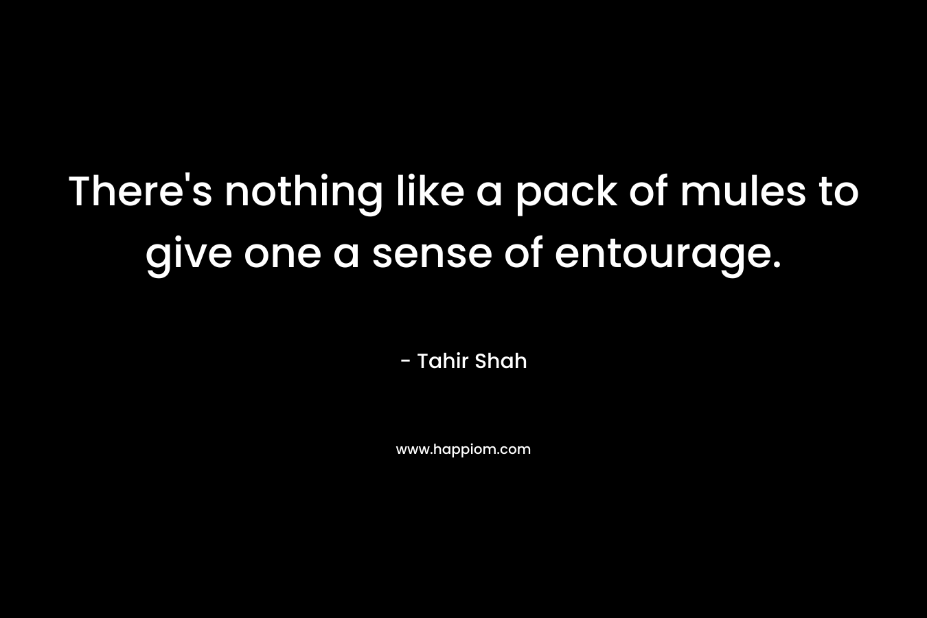 There’s nothing like a pack of mules to give one a sense of entourage. – Tahir Shah