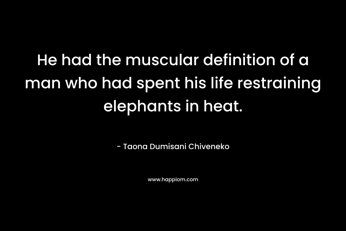 He had the muscular definition of a man who had spent his life restraining elephants in heat. – Taona Dumisani Chiveneko