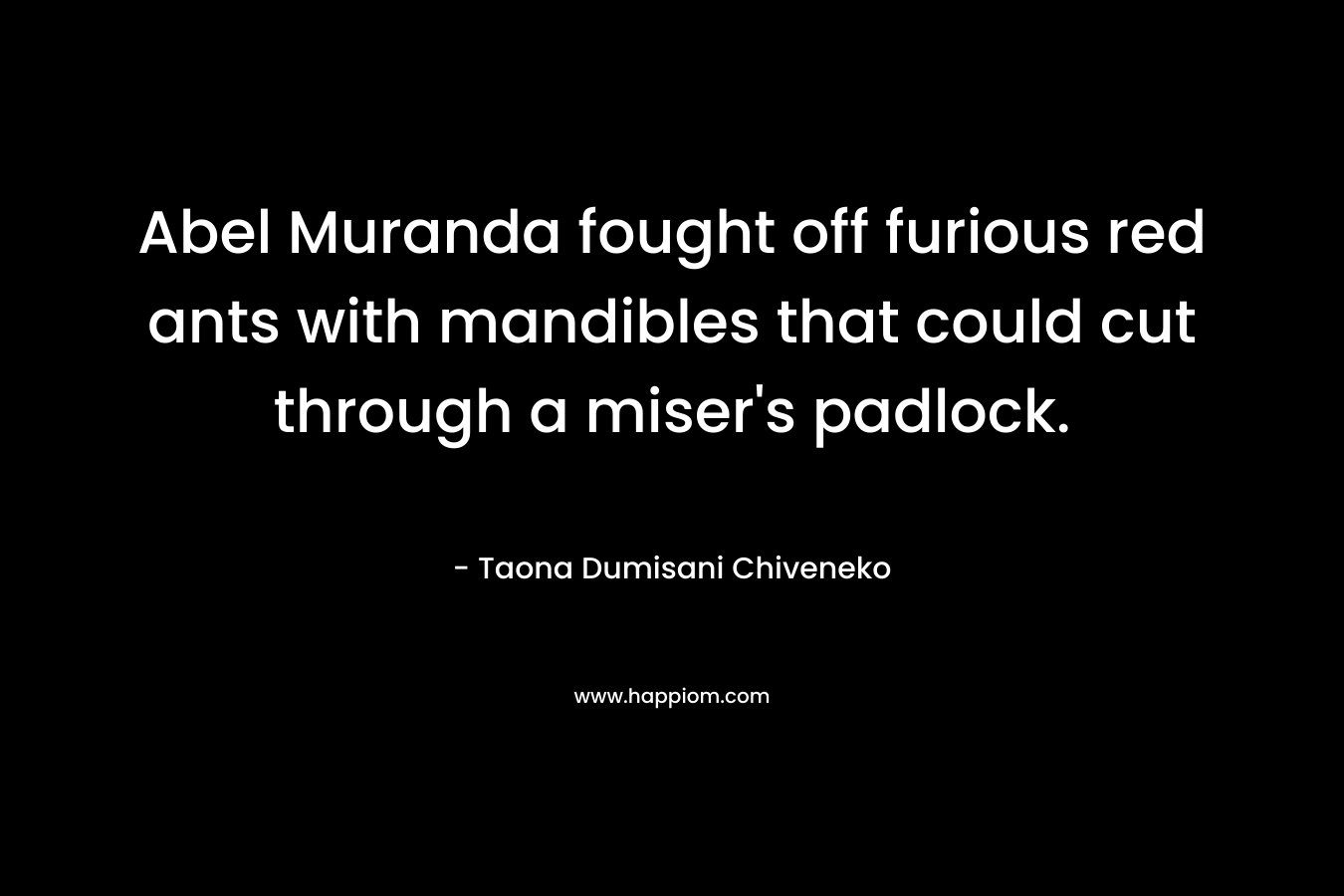 Abel Muranda fought off furious red ants with mandibles that could cut through a miser’s padlock. – Taona Dumisani Chiveneko