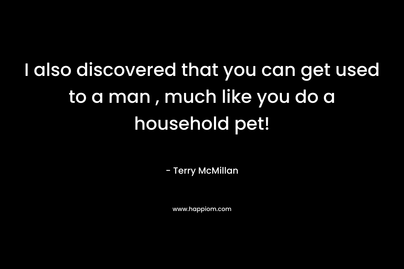 I also discovered that you can get used to a man , much like you do a household pet! – Terry McMillan