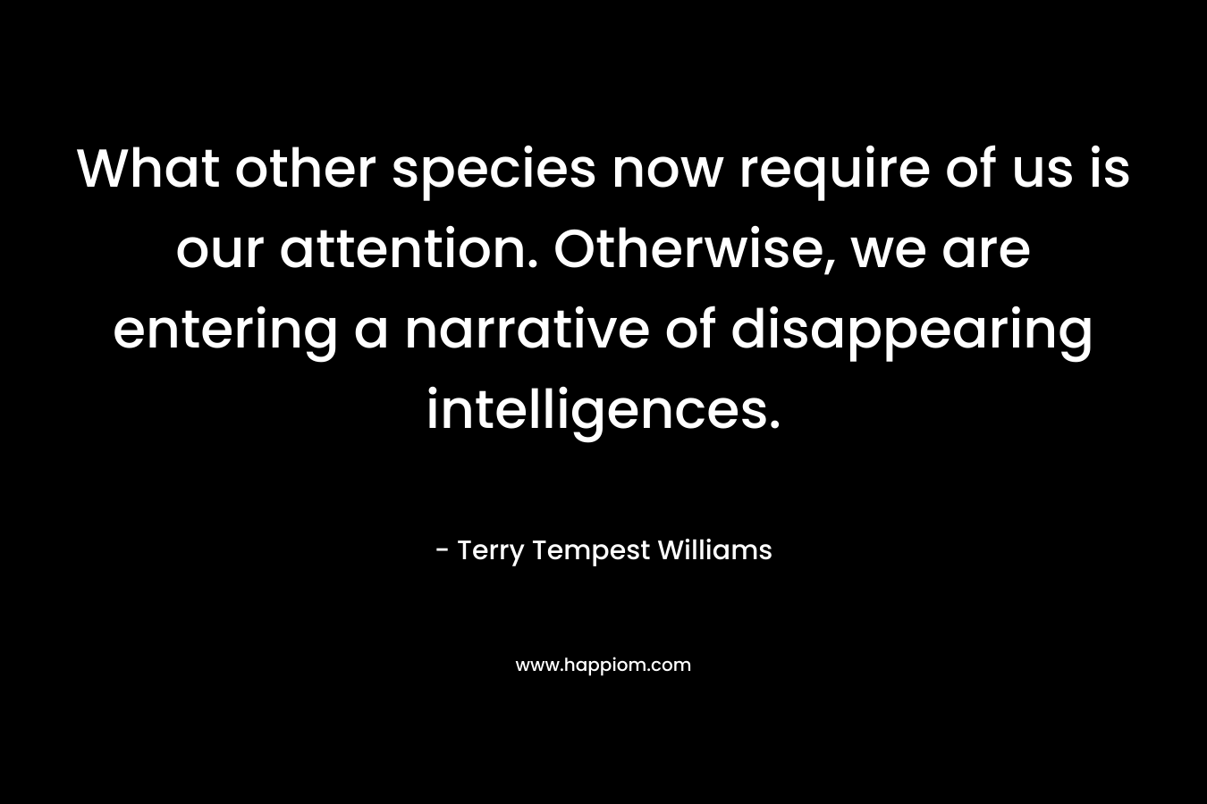 What other species now require of us is our attention. Otherwise, we are entering a narrative of disappearing intelligences.