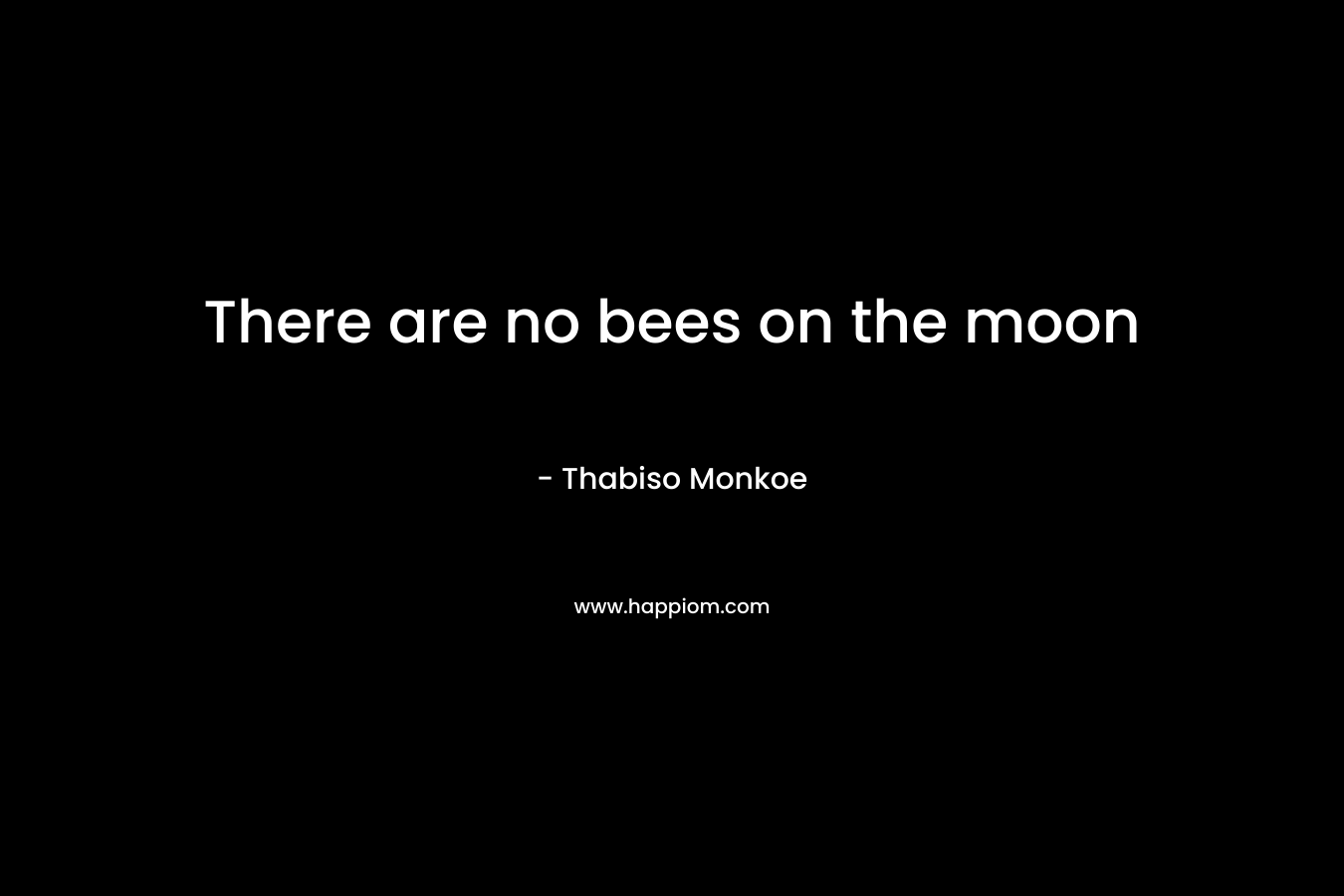 There are no bees on the moon