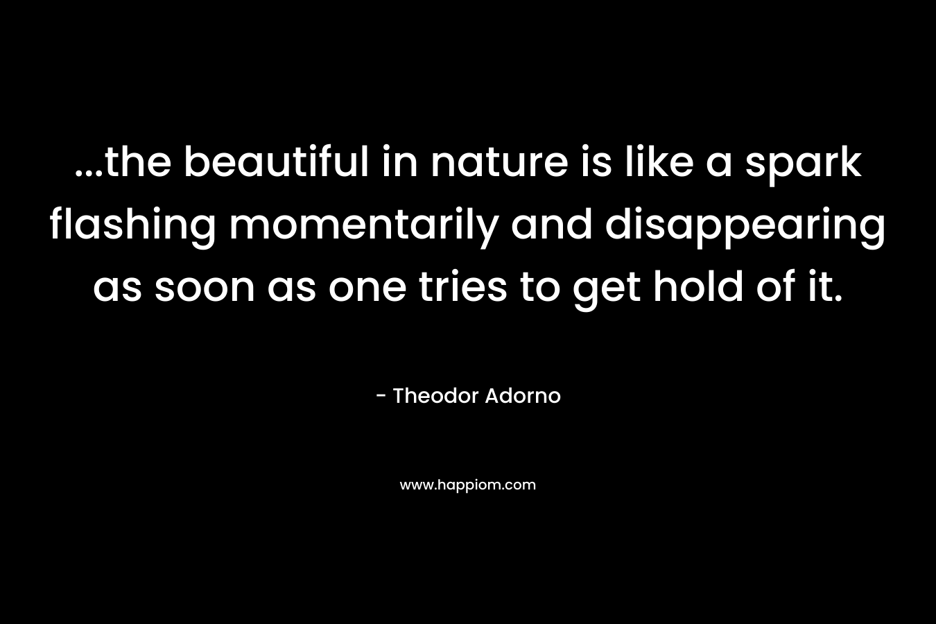 …the beautiful in nature is like a spark flashing momentarily and disappearing as soon as one tries to get hold of it. – Theodor Adorno