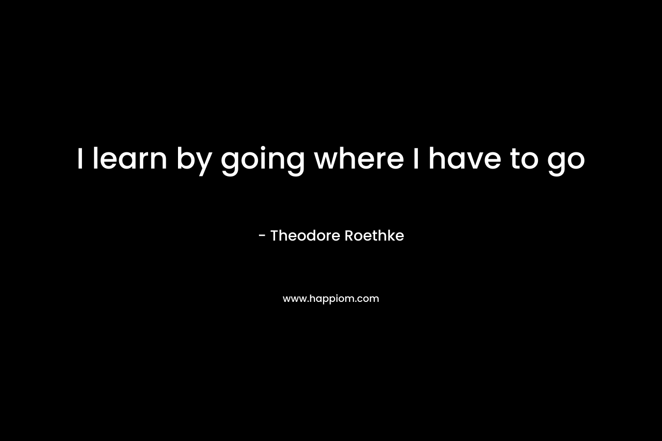 I learn by going where I have to go – Theodore Roethke