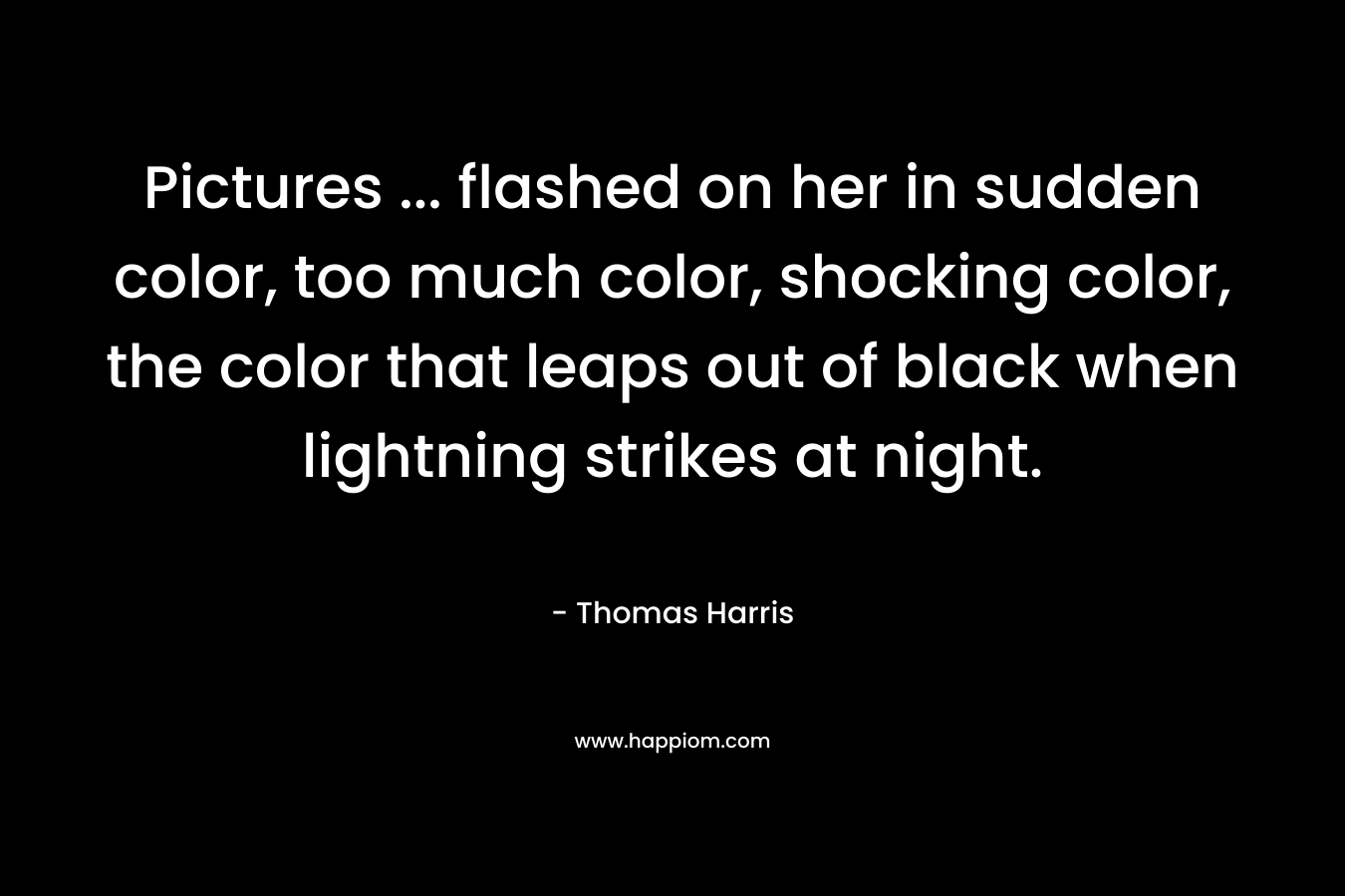 Pictures ... flashed on her in sudden color, too much color, shocking color, the color that leaps out of black when lightning strikes at night.