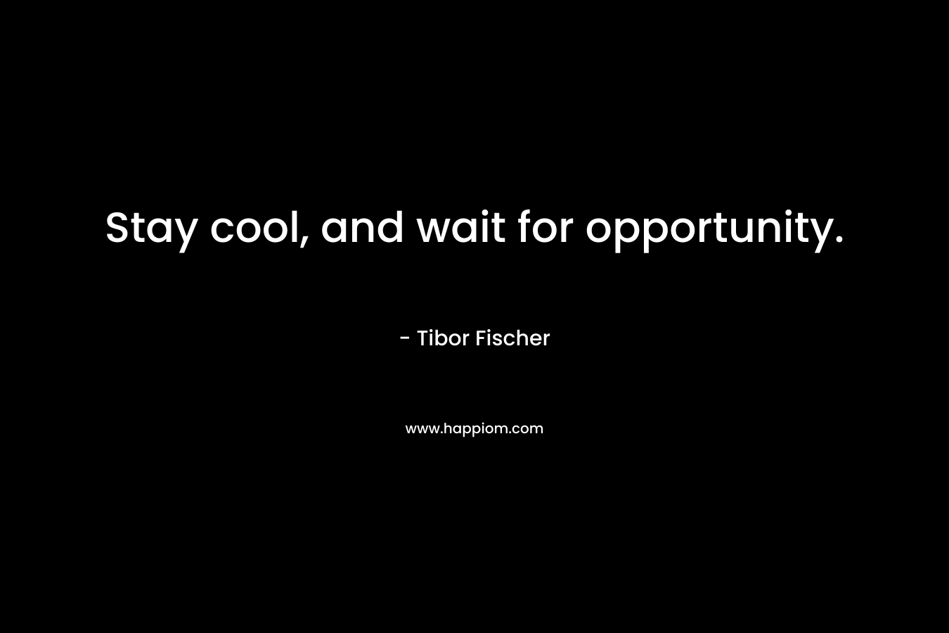Stay cool, and wait for opportunity. – Tibor Fischer