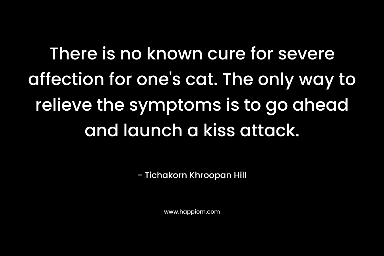 There is no known cure for severe affection for one’s cat. The only way to relieve the symptoms is to go ahead and launch a kiss attack. – Tichakorn Khroopan Hill