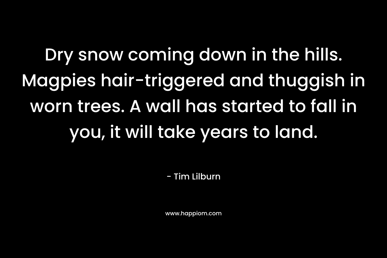 Dry snow coming down in the hills. Magpies hair-triggered and thuggish in worn trees. A wall has started to fall in you, it will take years to land.