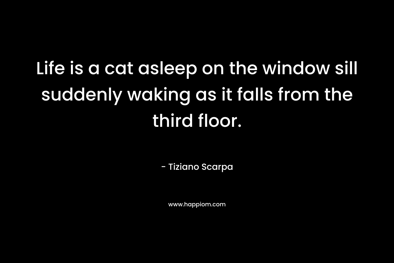 Life is a cat asleep on the window sill suddenly waking as it falls from the third floor. – Tiziano Scarpa