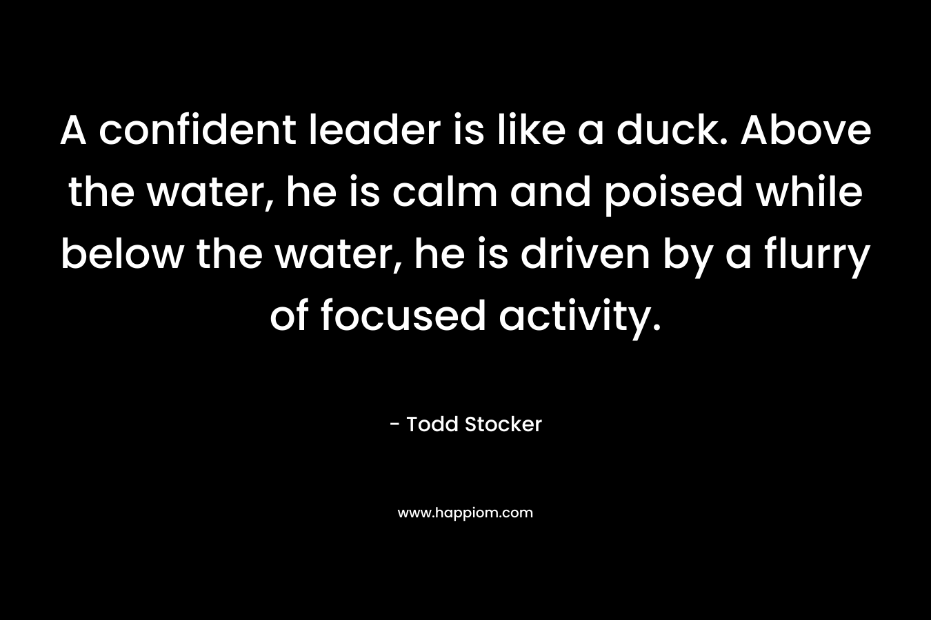 A confident leader is like a duck. Above the water, he is calm and poised while below the water, he is driven by a flurry of focused activity. – Todd Stocker