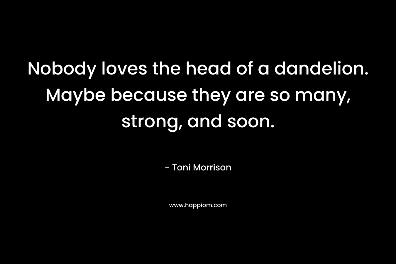 Nobody loves the head of a dandelion. Maybe because they are so many, strong, and soon. – Toni Morrison