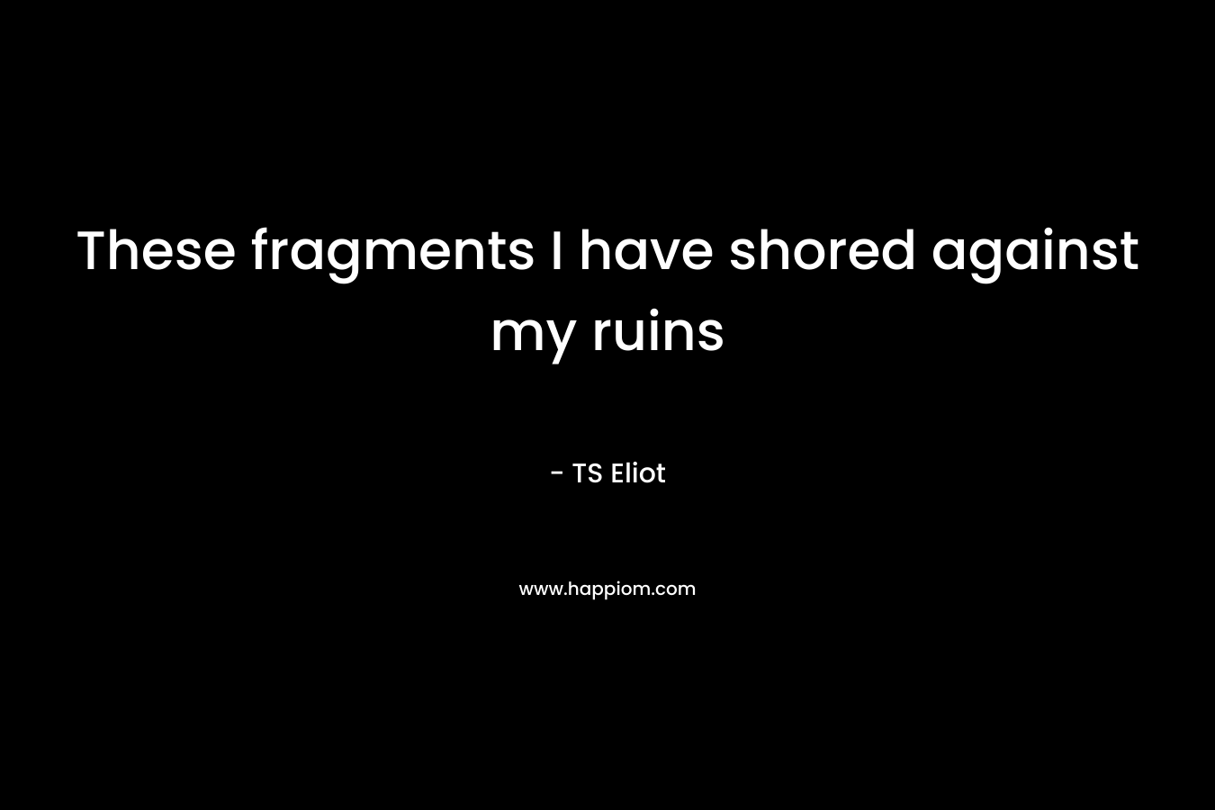 These fragments I have shored against my ruins – TS Eliot