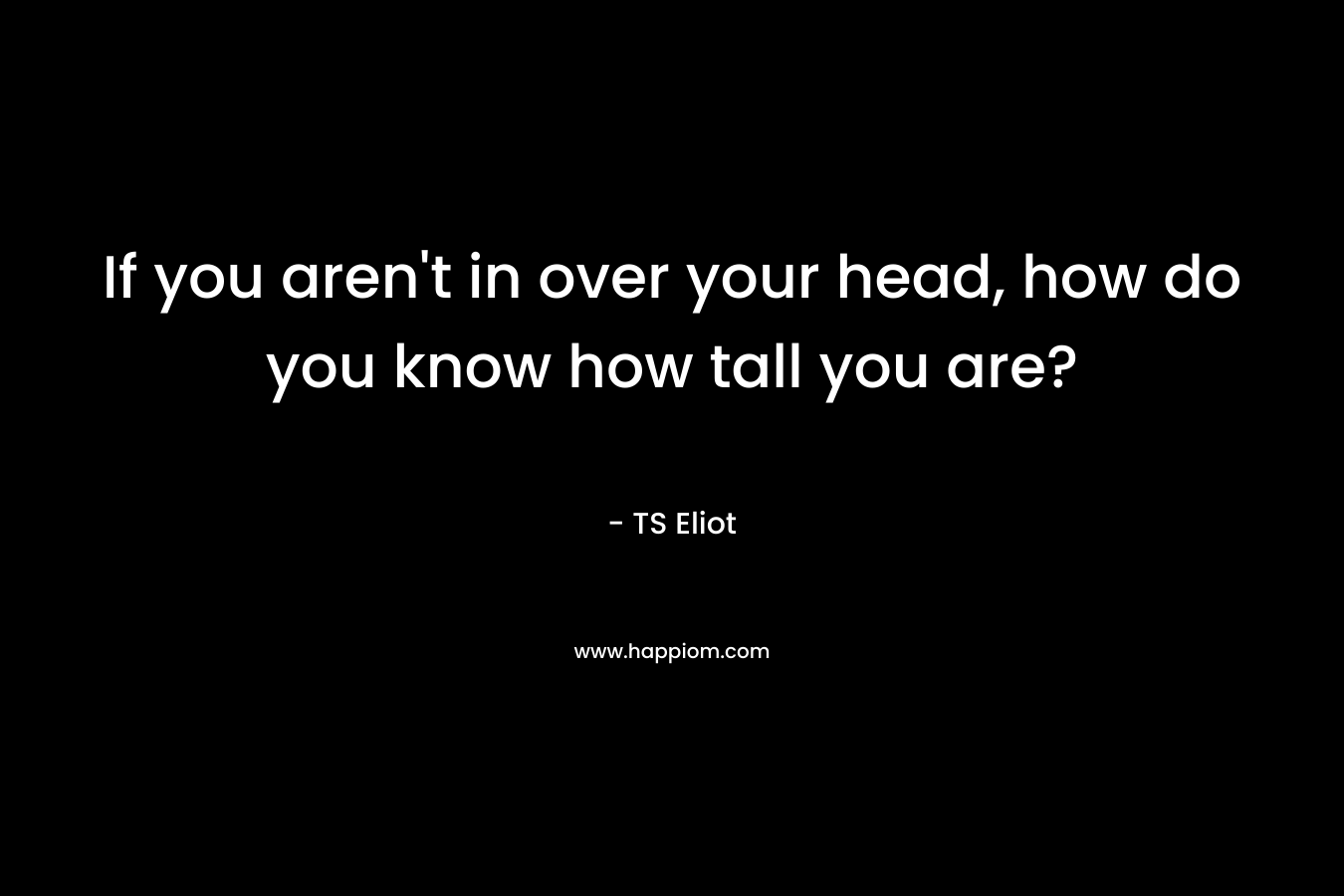 If you aren’t in over your head, how do you know how tall you are? – TS Eliot