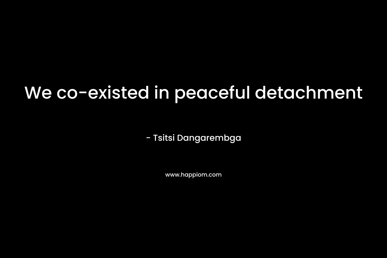 We co-existed in peaceful detachment – Tsitsi Dangarembga
