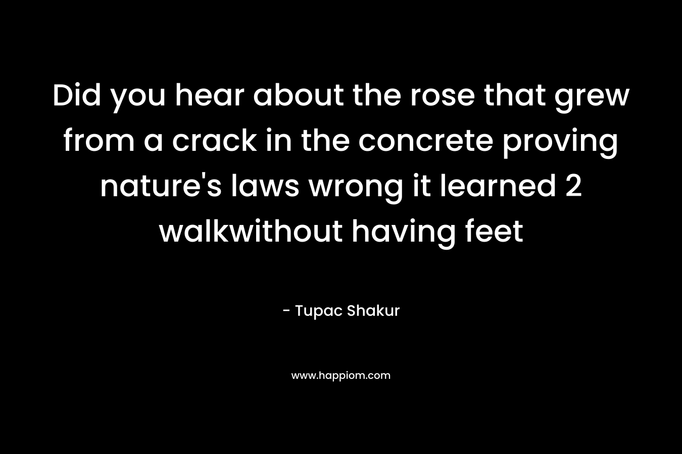 Did you hear about the rose that grew from a crack in the concrete proving nature’s laws wrong it learned 2 walkwithout having feet – Tupac Shakur