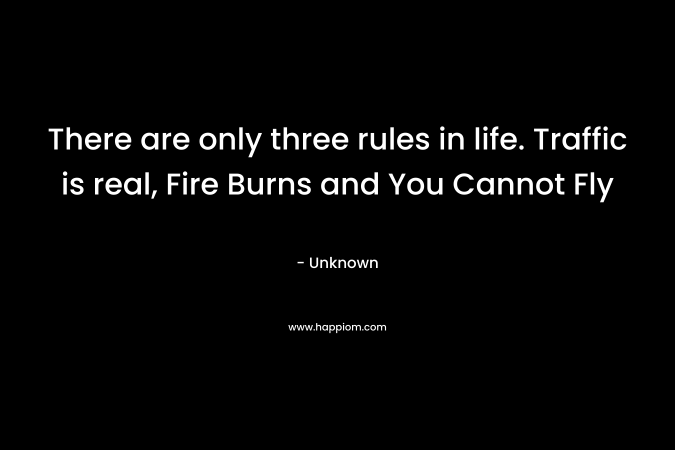 There are only three rules in life. Traffic is real, Fire Burns and You Cannot Fly
