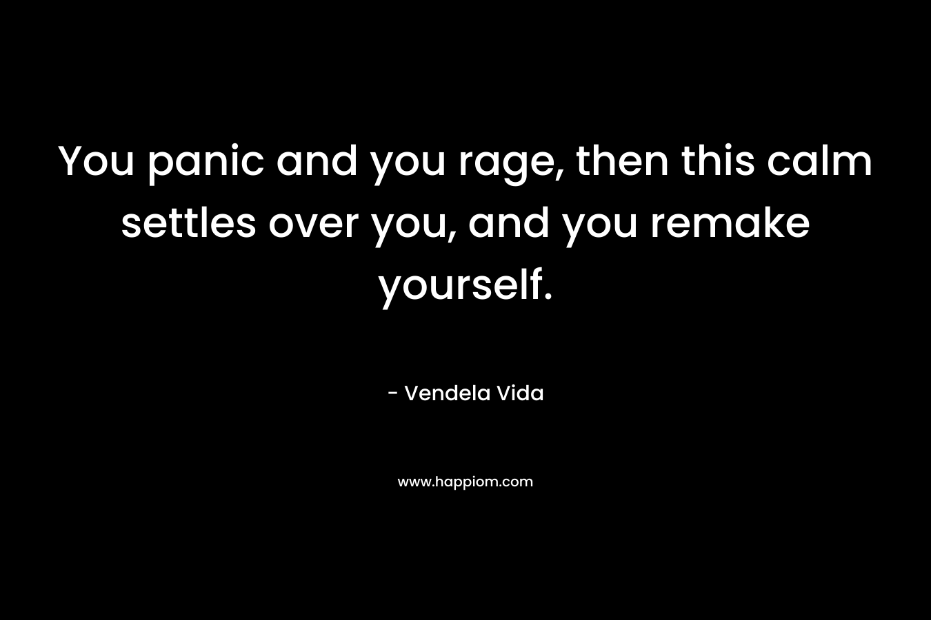 You panic and you rage, then this calm settles over you, and you remake yourself. – Vendela Vida