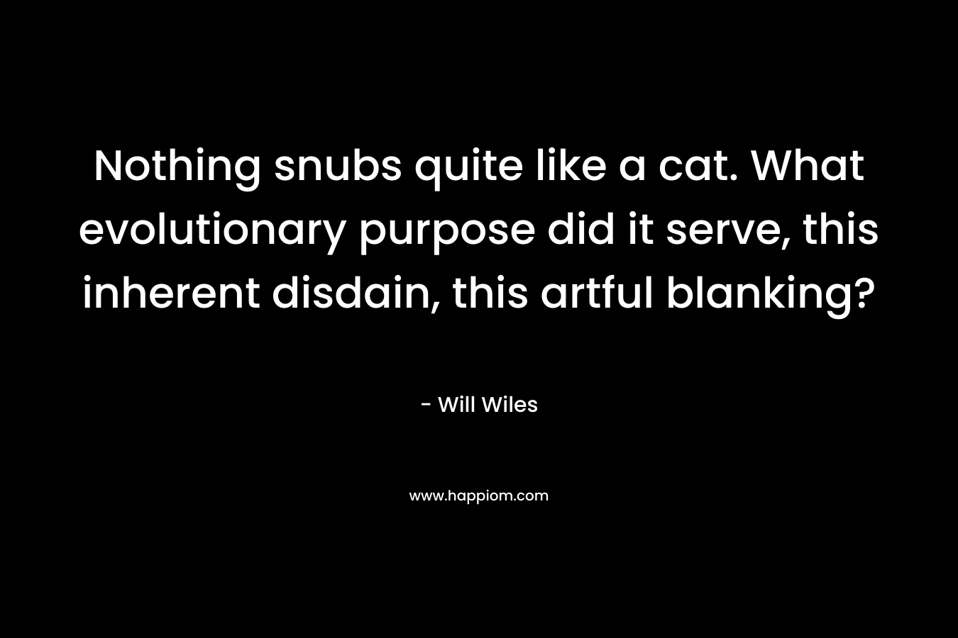 Nothing snubs quite like a cat. What evolutionary purpose did it serve, this inherent disdain, this artful blanking? – Will Wiles