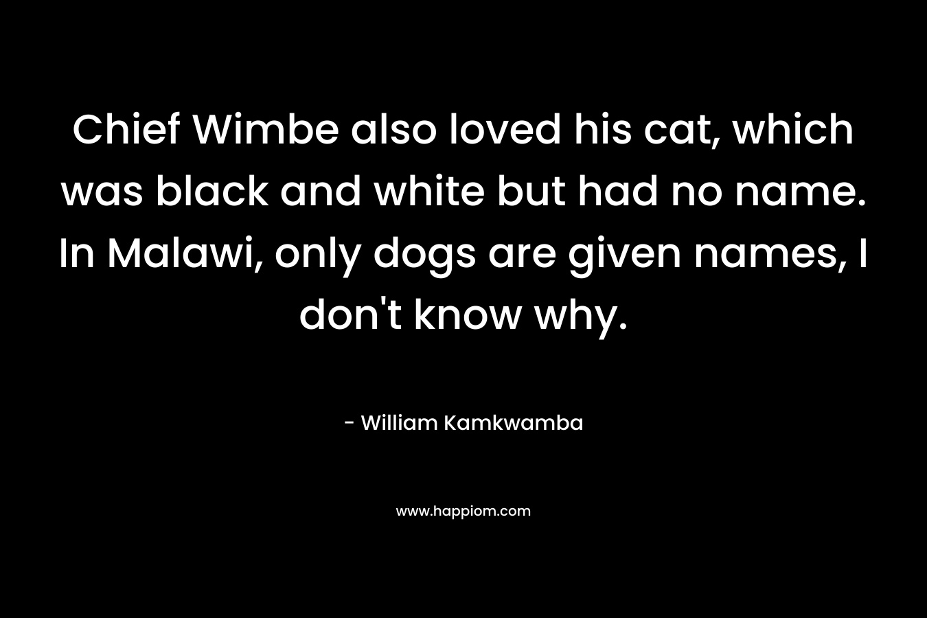 Chief Wimbe also loved his cat, which was black and white but had no name. In Malawi, only dogs are given names, I don’t know why. – William Kamkwamba