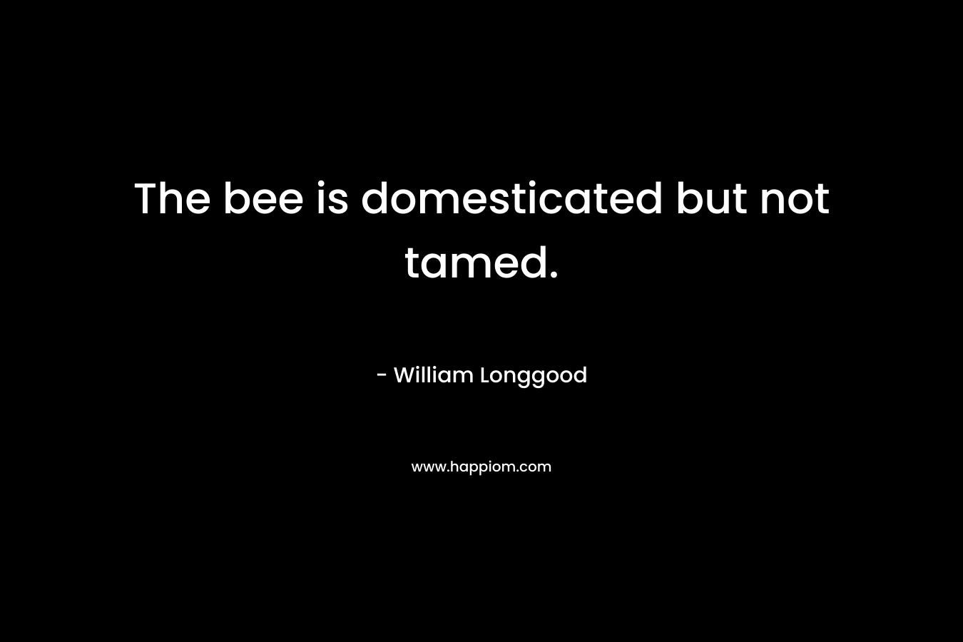 The bee is domesticated but not tamed. – William Longgood