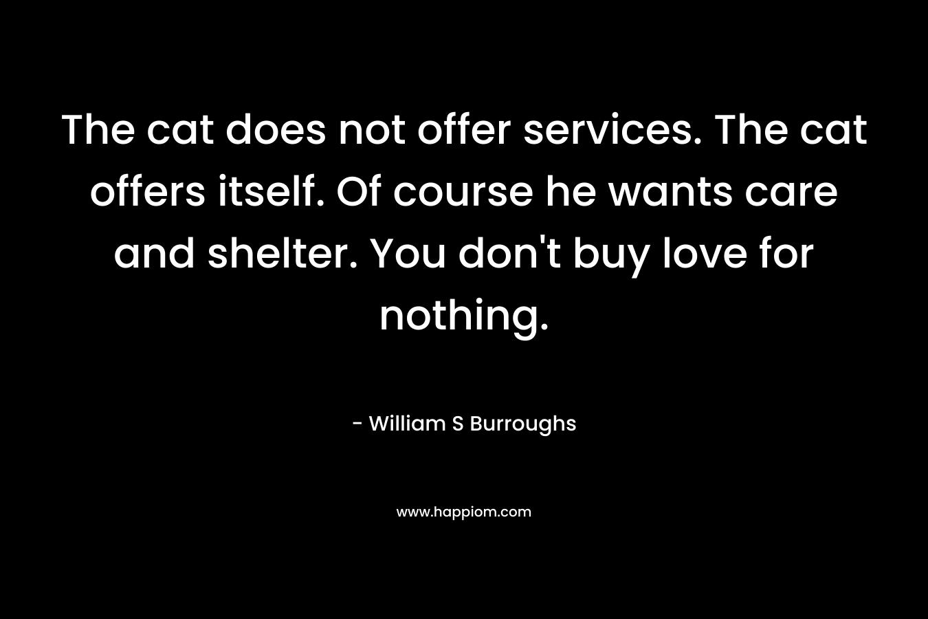 The cat does not offer services. The cat offers itself. Of course he wants care and shelter. You don't buy love for nothing.