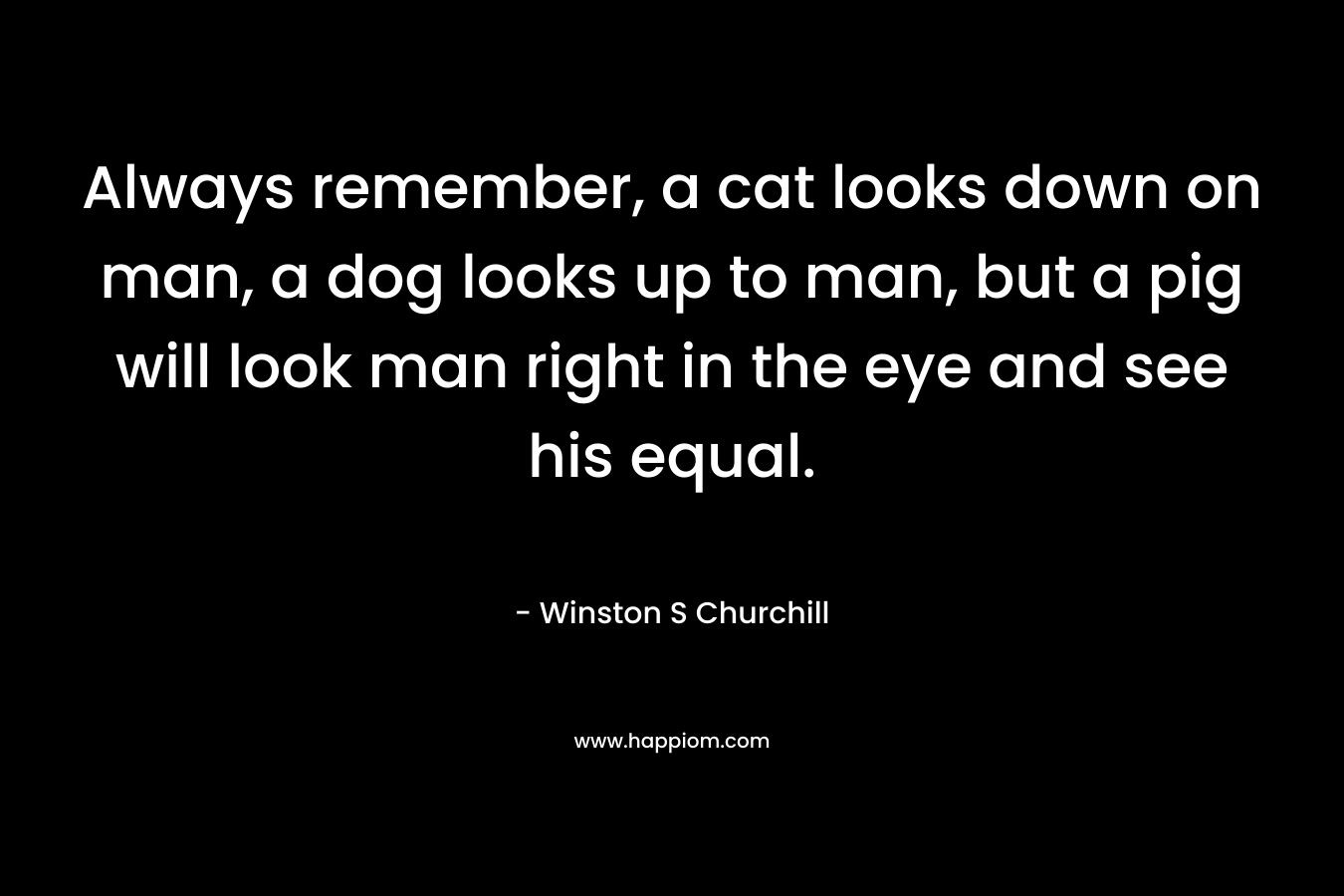 Always remember, a cat looks down on man, a dog looks up to man, but a pig will look man right in the eye and see his equal.