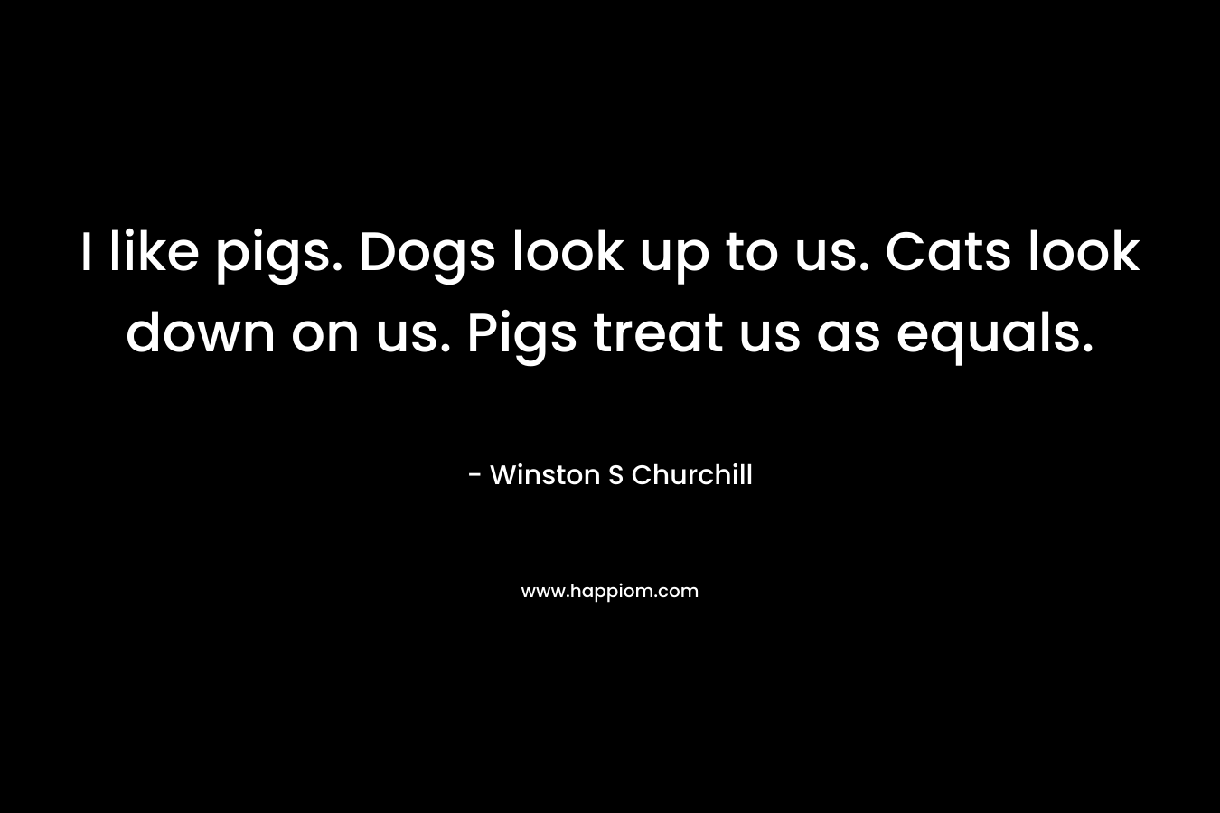 I like pigs. Dogs look up to us. Cats look down on us. Pigs treat us as equals. – Winston S Churchill