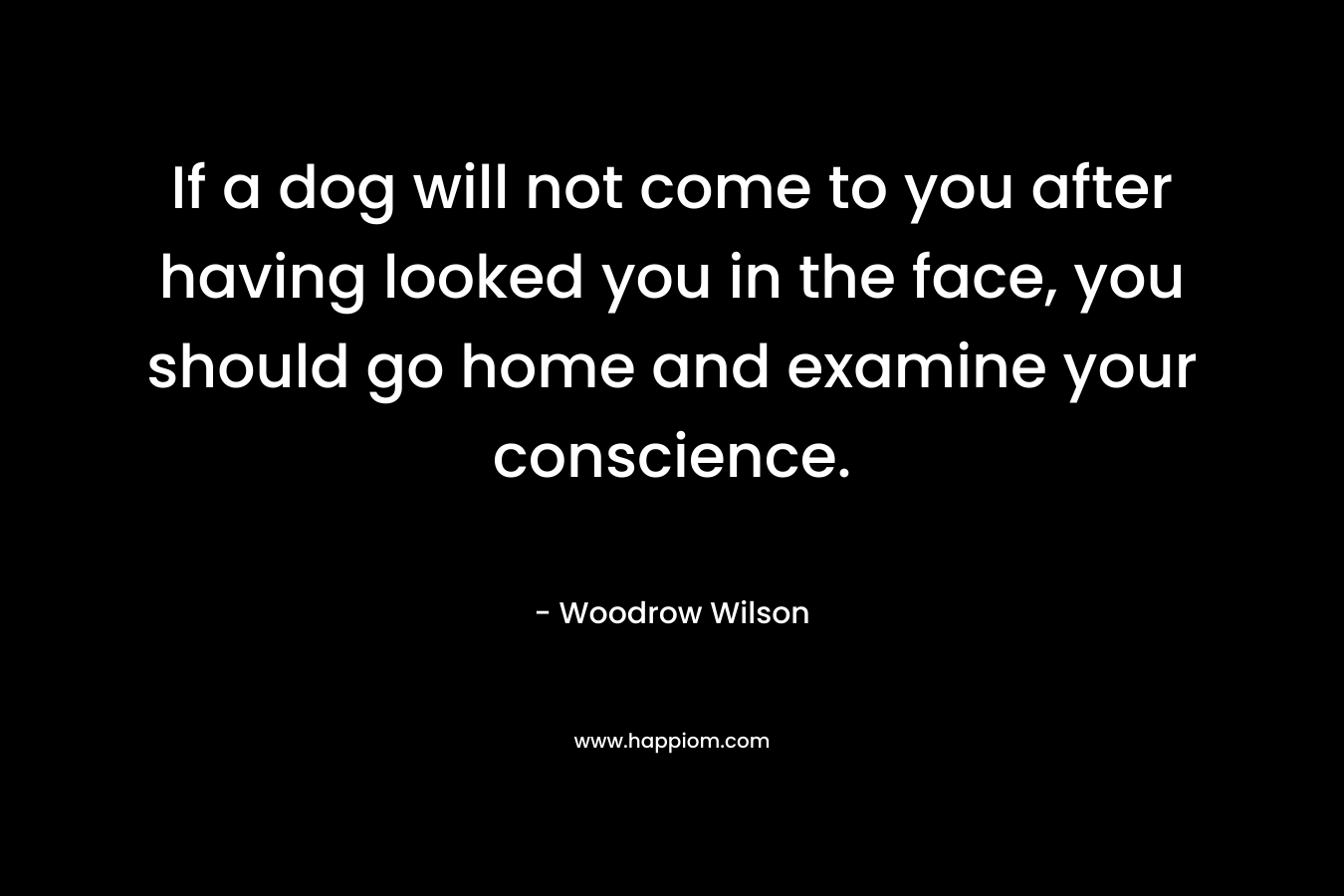 If a dog will not come to you after having looked you in the face, you should go home and examine your conscience. – Woodrow Wilson